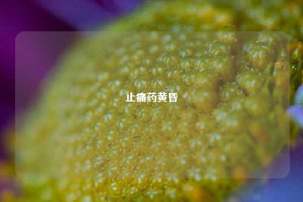止痛药黄昏
