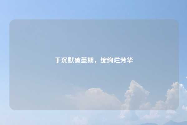 于沉默破茧期,绽绚烂芳华