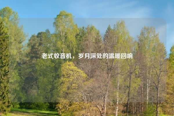 老式收音机,岁月深处的温暖回响