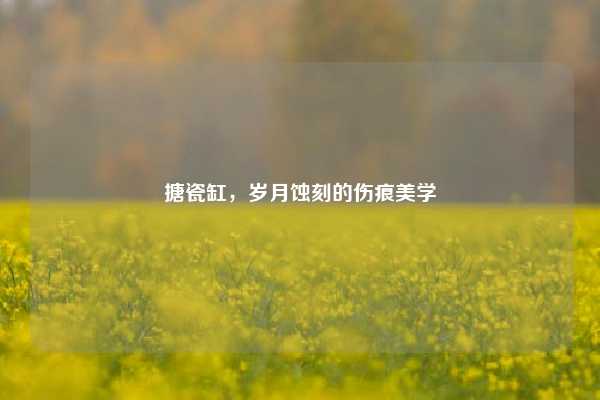 搪瓷缸,岁月蚀刻的伤痕美学