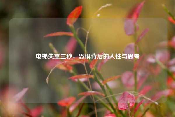 电梯失重三秒，恐惧背后的人性与思考