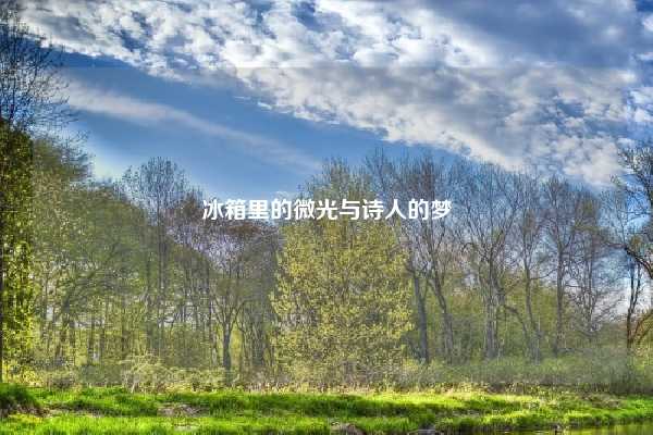 冰箱里的微光与诗人的梦