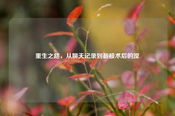 重生之路，从聊天记录到截肢术后的涅槃