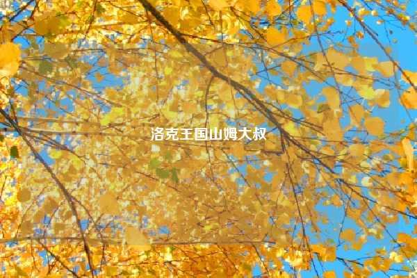 洛克王国山姆大叔