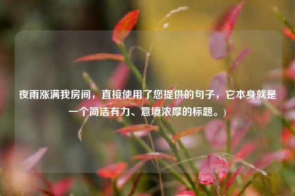 夜雨涨满我房间,直接使用了您提供的句子,它本身就是一个简洁有力、意境浓厚的标题。)