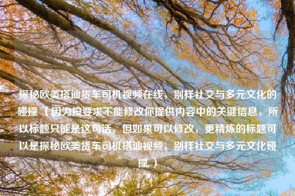 探秘欧美搭讪货车司机视频在线,别样社交与多元文化的碰撞 (因为按要求不能修改你提供内容中的关键信息,所以标题只能是这句话,但如果可以修改,更精炼的标题可以是探秘欧美货车司机搭讪视频,别样社交与多元文化碰撞 )