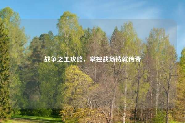战争之王攻略，掌控战场铸就传奇