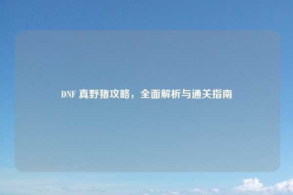 DNF 真野猪攻略，全面解析与通关指南