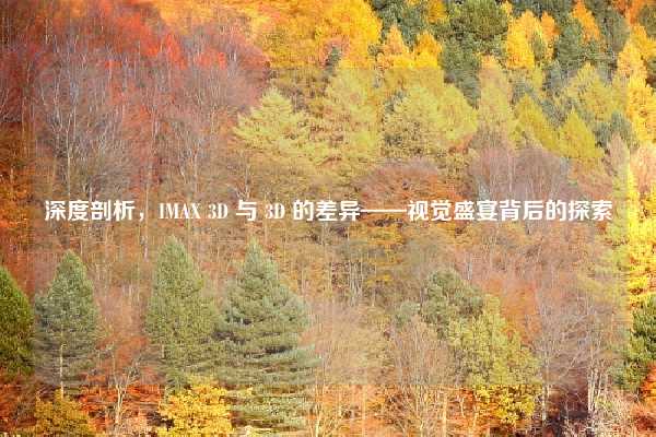 深度剖析,IMAX 3D 与 3D 的差异——视觉盛宴背后的探索