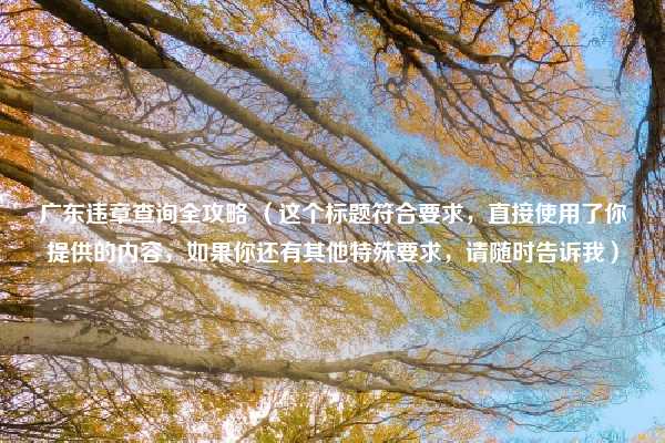 广东违章查询全攻略 (这个标题符合要求,直接使用了你提供的内容,如果你还有其他特殊要求,请随时告诉我)