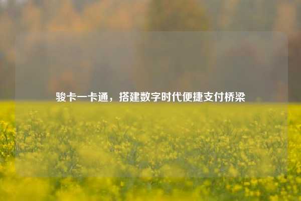 骏卡一卡通，搭建数字时代便捷支付桥梁