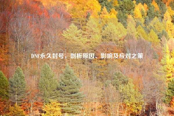 DNF永久封号，剖析原因、影响及应对之策