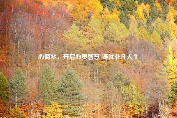 心商梦，开启心灵智慧 铸就非凡人生
