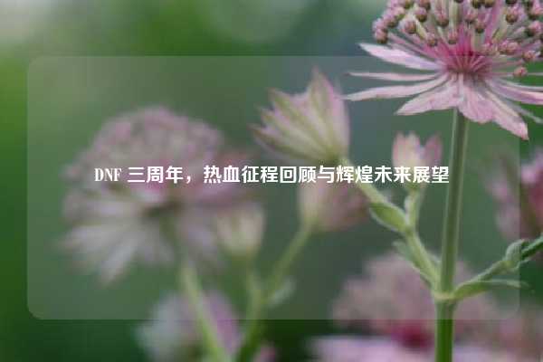 DNF 三周年,热血征程回顾与辉煌未来展望