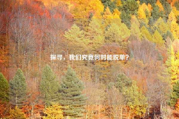 探寻，我们究竟何时能脱单？