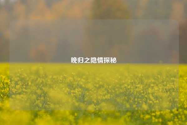 晚归之隐情探秘