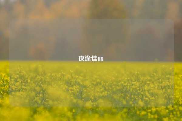 夜逢佳丽