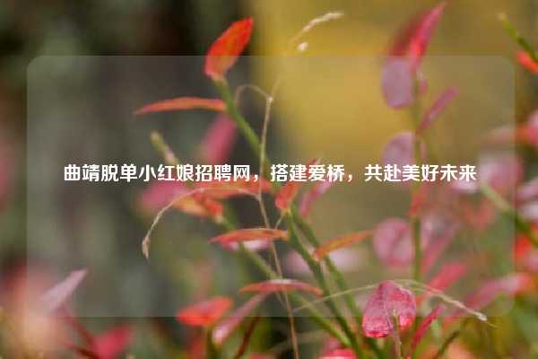 曲靖脱单小红娘招聘网,搭建爱桥,共赴美好未来