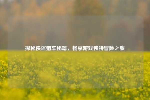 探秘侠盗猎车秘籍，畅享游戏独特冒险之旅