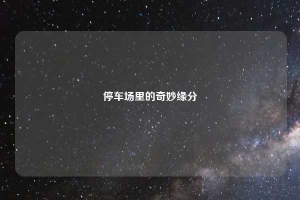 停车场里的奇妙缘分