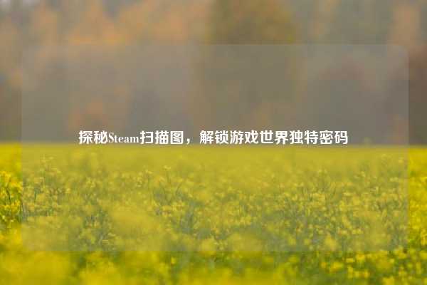 探秘Steam扫描图,解锁游戏世界独特密码