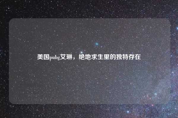 美国pubg艾琳,绝地求生里的独特存在