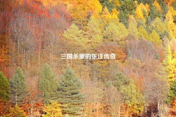 三国杀里的张汪传奇