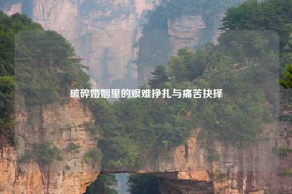 破碎婚姻里的艰难挣扎与痛苦抉择