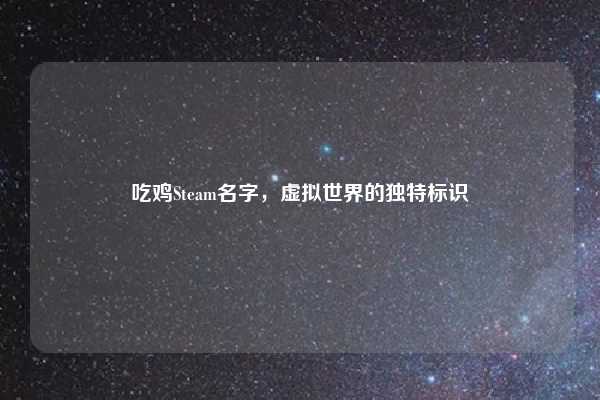 吃鸡Steam名字,虚拟世界的独特标识