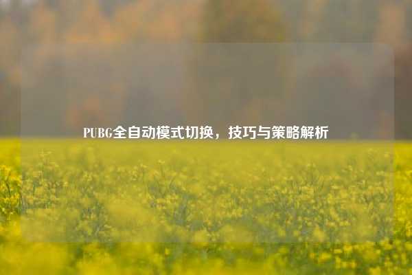 PUBG全自动模式切换，技巧与策略解析
