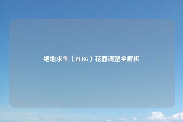 绝地求生（PUBG）花面调整全解析