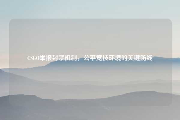 CSGO举报封禁机制，公平竞技环境的关键防线