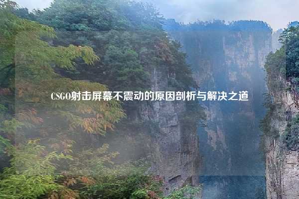 CSGO射击屏幕不震动的原因剖析与解决之道