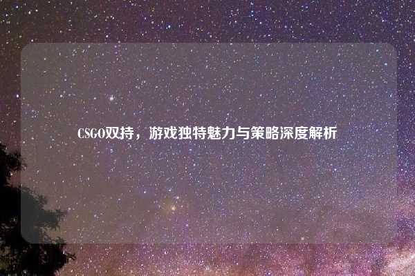 CSGO双持，游戏独特魅力与策略深度解析