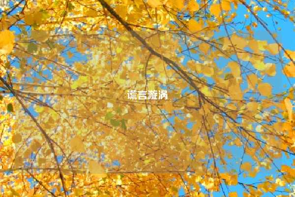 谎言漩涡