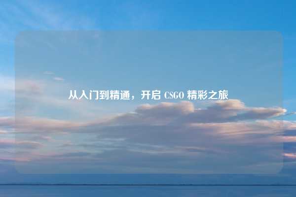 从入门到精通,开启 CSGO 精彩之旅