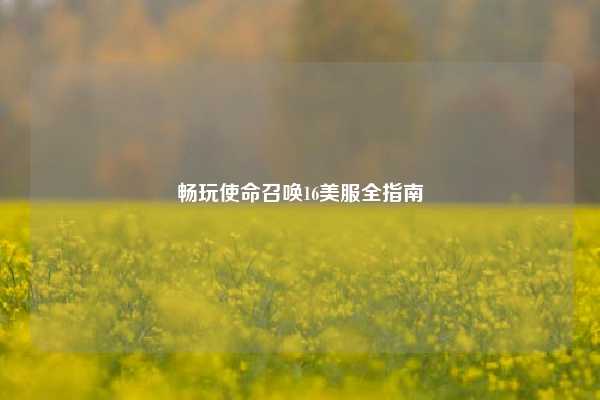 畅玩使命召唤16美服全指南