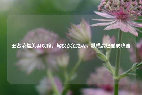 王者荣耀关羽攻略，驾驭赤兔之魂，纵横战场驰骋攻略