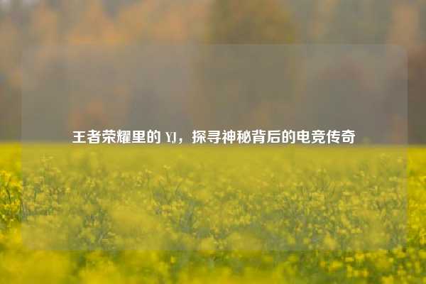 王者荣耀里的 YJ,探寻神秘背后的电竞传奇
