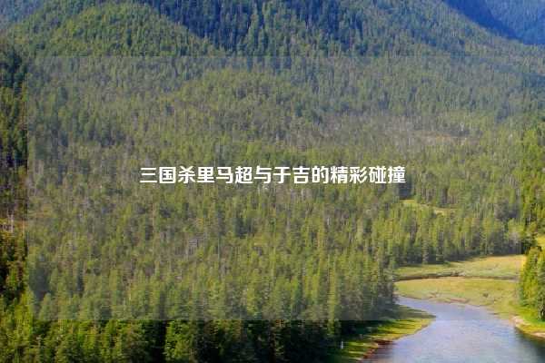 三国杀里马超与于吉的精彩碰撞