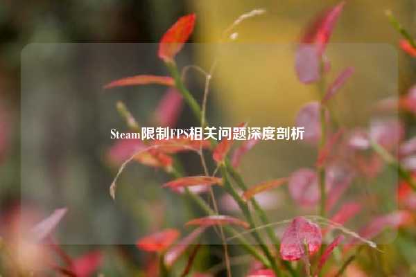 Steam限制FPS相关问题深度剖析
