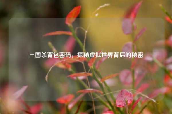 三国杀背包密码，探秘虚拟世界背后的秘密