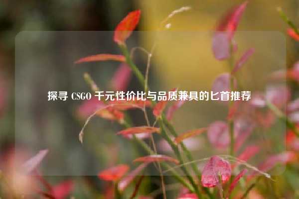 探寻 CSGO 千元性价比与品质兼具的匕首推荐