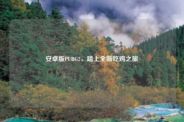 安卓版PUBG2,踏上全新吃鸡之旅