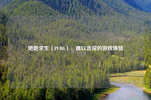 绝地求生(PUBG),难以言说的游戏体验
