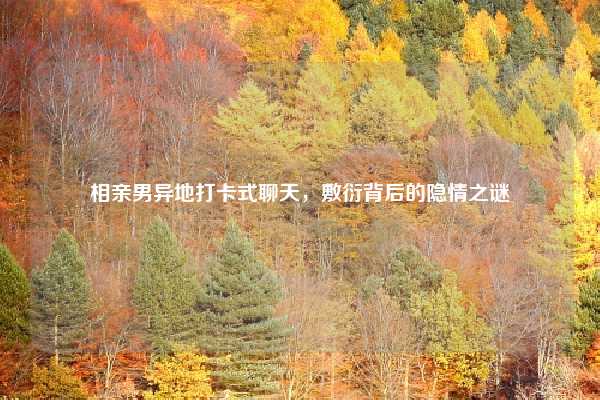 相亲男异地打卡式聊天,敷衍背后的隐情之谜