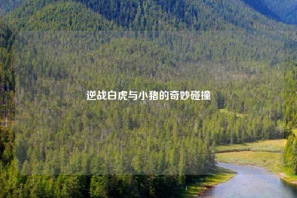 逆战白虎与小猪的奇妙碰撞