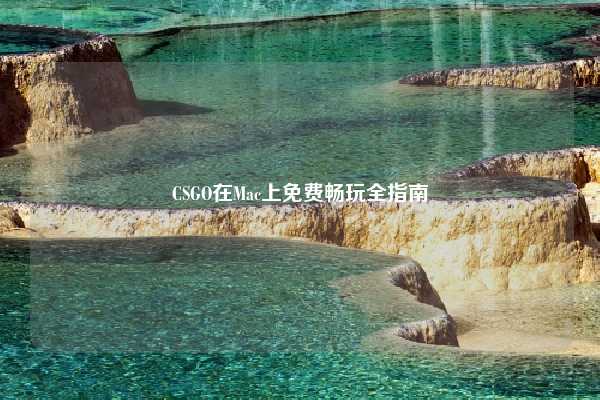 CSGO在Mac上免费畅玩全指南