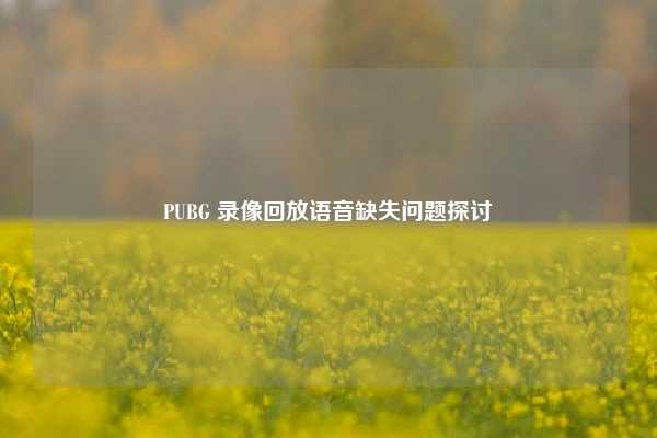 PUBG 录像回放语音缺失问题探讨