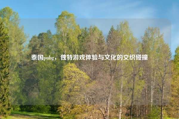 泰国pubg,独特游戏体验与文化的交织碰撞